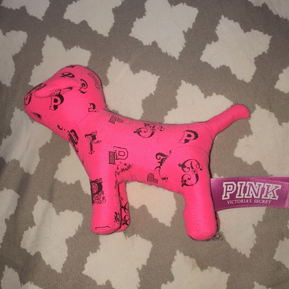 VS PINK Dog